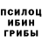 Псилоцибиновые грибы Cubensis Hrant Poghosyan