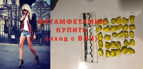 прущие грибы Ельня