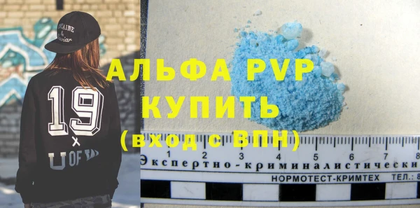 прущие грибы Ельня