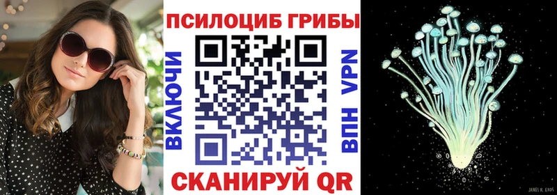 Купить закладки  Меленки  Псилоцибиновые грибы GOLDEN TEACHER 